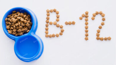 B12 Foods