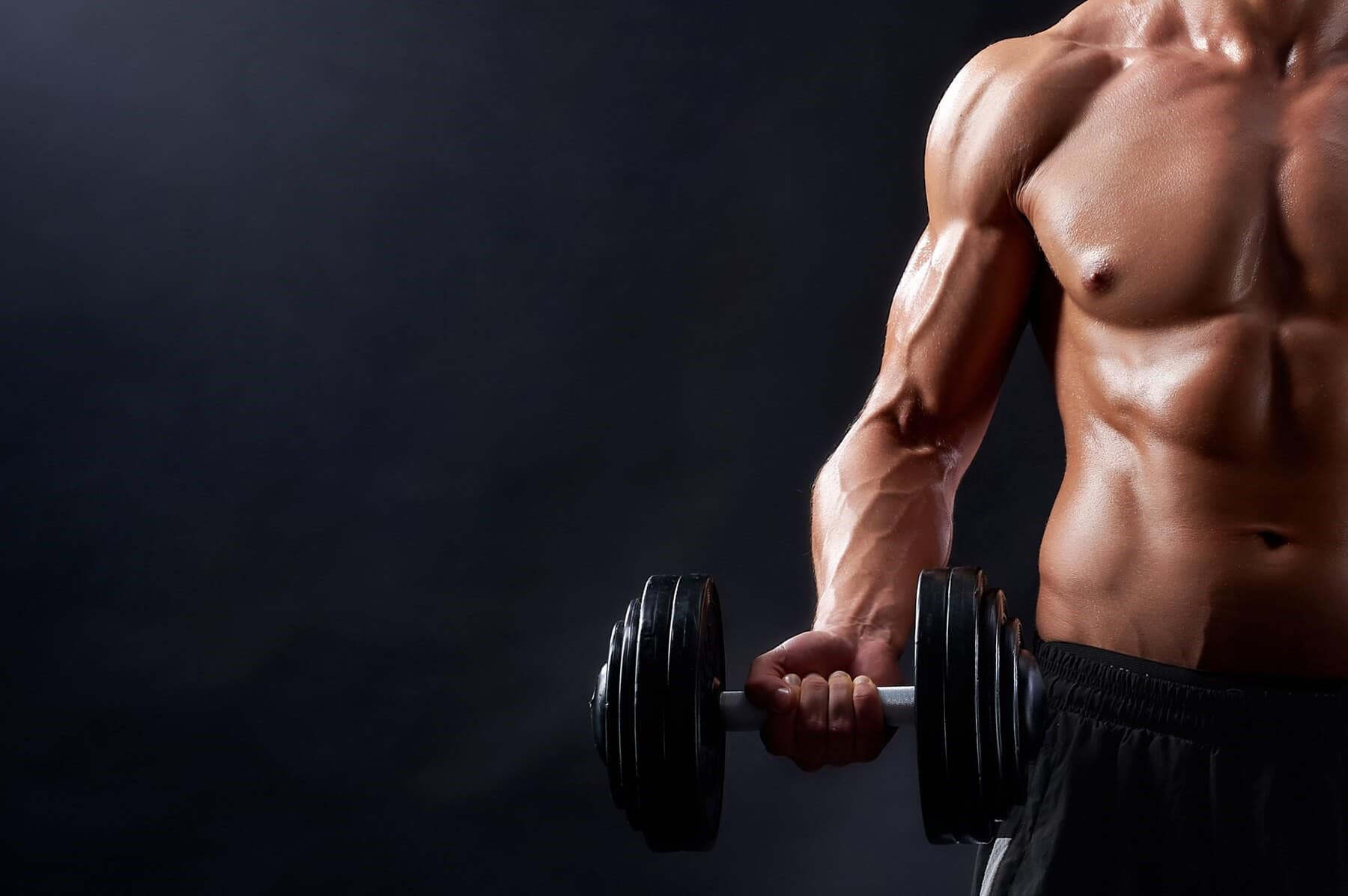 Muscle Building