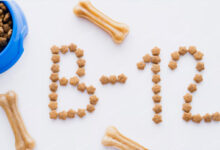 Vitamin B12