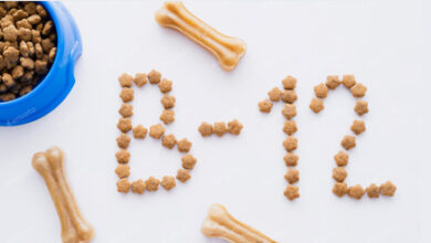 Vitamin B12