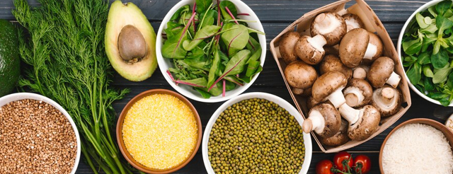 Protein Vegetables