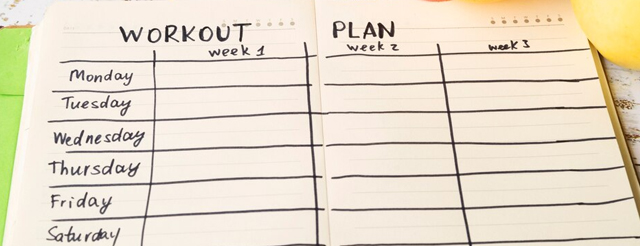 Workout Plan