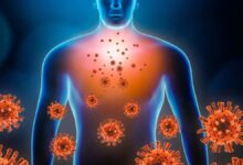 immune system