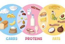 Carbohydrates vs. Protein