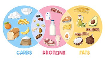 Carbohydrates vs. Protein